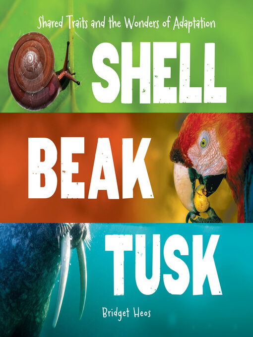 Title details for Shell, Beak, Tusk by Bridget Heos - Available